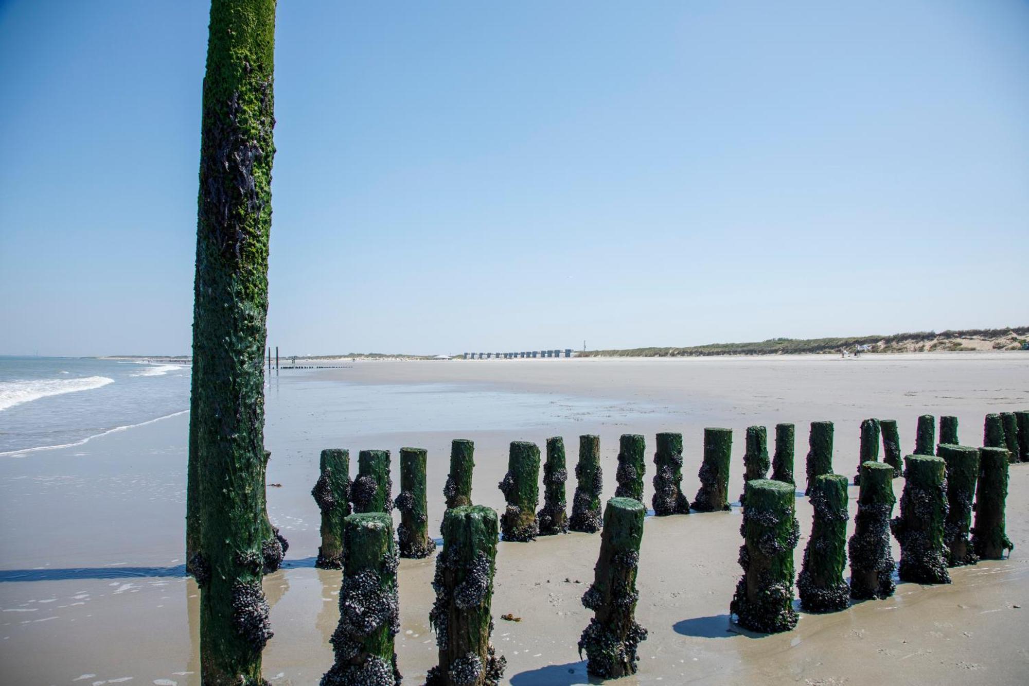 Zonneweelde, Vakantie Aan Zee Ньювлит Экстерьер фото